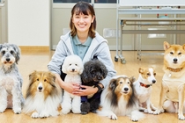 動物・公務員・語学